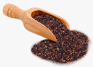 black-quinoa-seeds